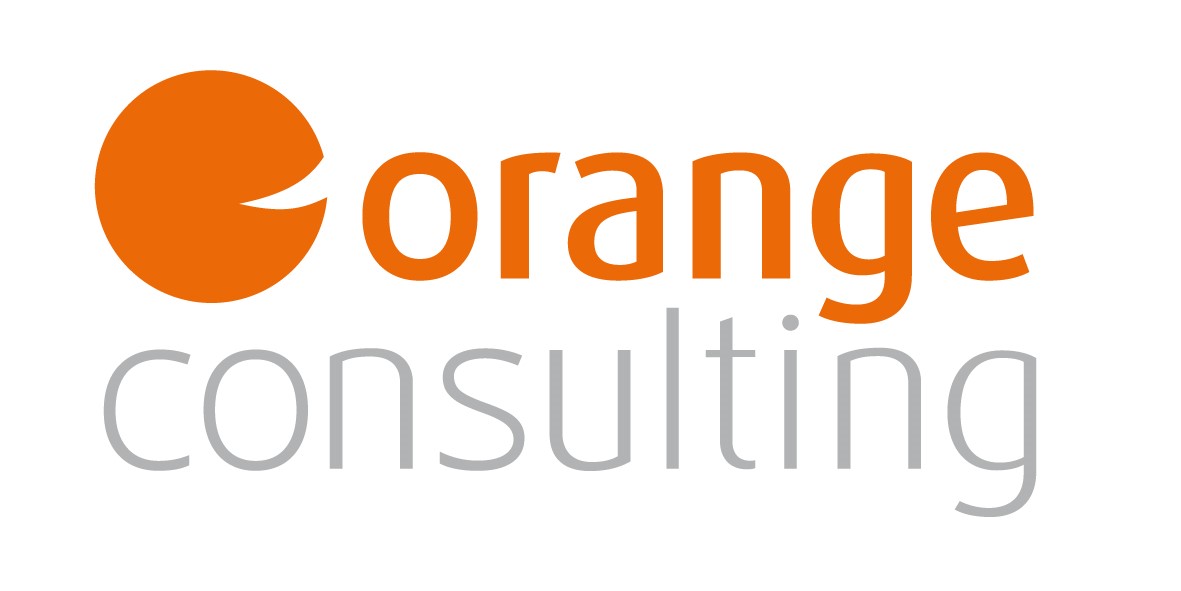 Orange Consulting Unternehmensberatung, Change Management